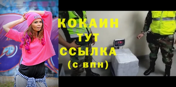 индика Алексин