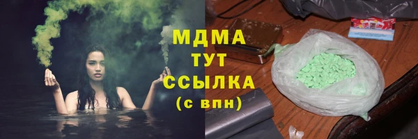 индика Алексин