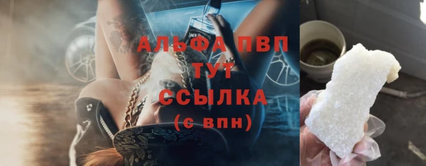 индика Алексин