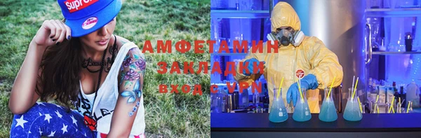 ПСИЛОЦИБИНОВЫЕ ГРИБЫ Алзамай