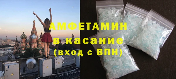 индика Алексин