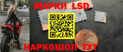 эйфоретик Малгобек