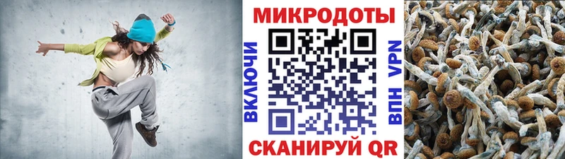 мориарти как зайти  Томск  Галлюциногенные грибы Magic Shrooms  хочу  