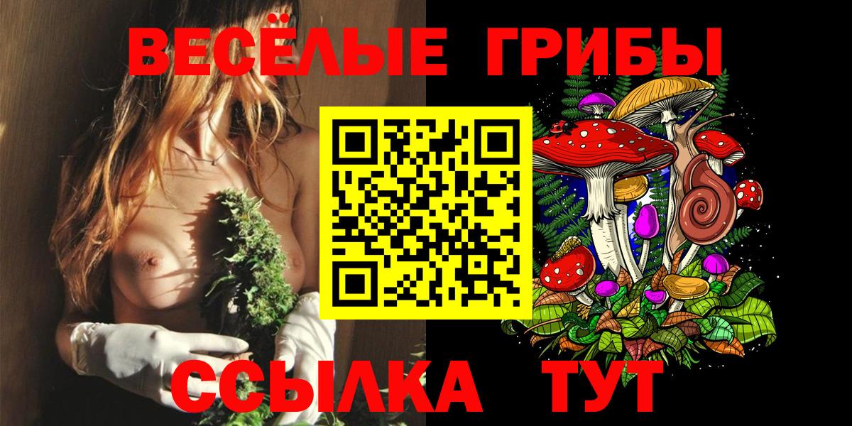 Томск  Псилоцибиновые грибы GOLDEN TEACHER  Вход с VPN 